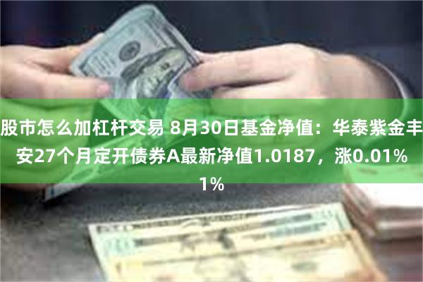 股市怎么加杠杆交易 8月30日基金净值：华泰紫金丰安27个月定开债券A最新净值1.0187，涨0.01%