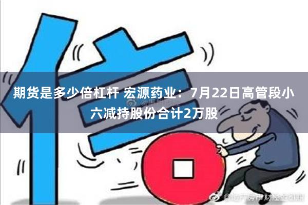 期货是多少倍杠杆 宏源药业：7月22日高管段小六减持股份合计2万股