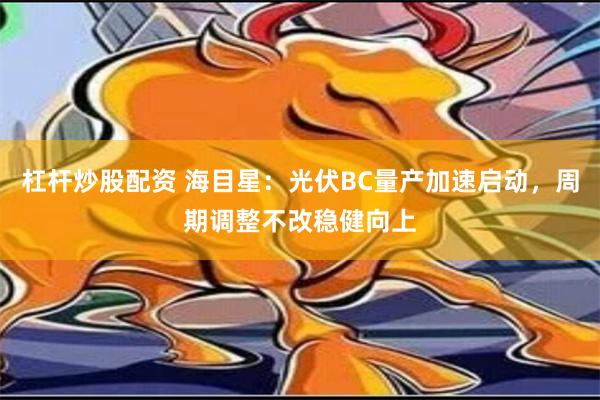 杠杆炒股配资 海目星：光伏BC量产加速启动，周期调整不改稳健向上