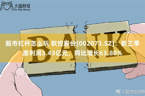 股市杠杆怎么玩 软控股份(002073.SZ)：前三季度利润3.43亿元，同比增长63.80%