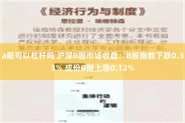 a股可以杠杆吗 沪深B股市场收盘：B股指数下跌0.33% 成份B指上涨0.12%