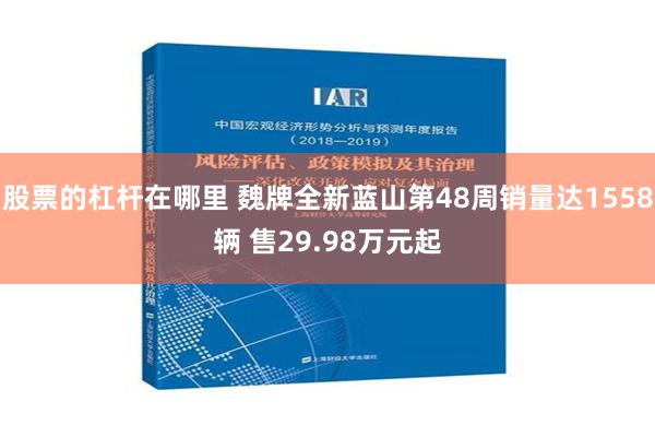 股票的杠杆在哪里 魏牌全新蓝山第48周销量达1558辆 售29.98万元起