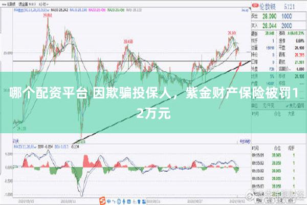 哪个配资平台 因欺骗投保人，紫金财产保险被罚12万元