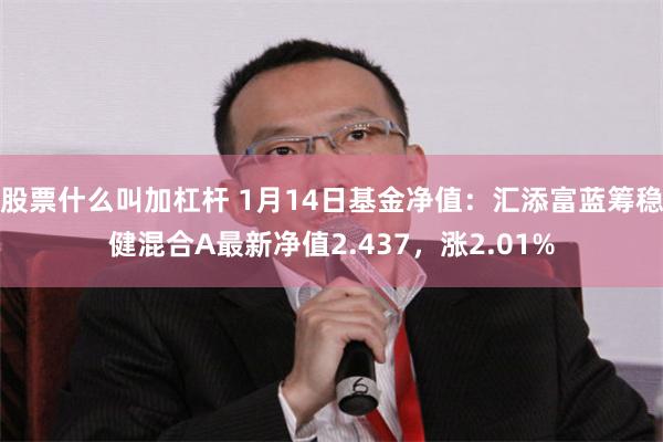 股票什么叫加杠杆 1月14日基金净值：汇添富蓝筹稳健混合A最新净值2.437，涨2.01%